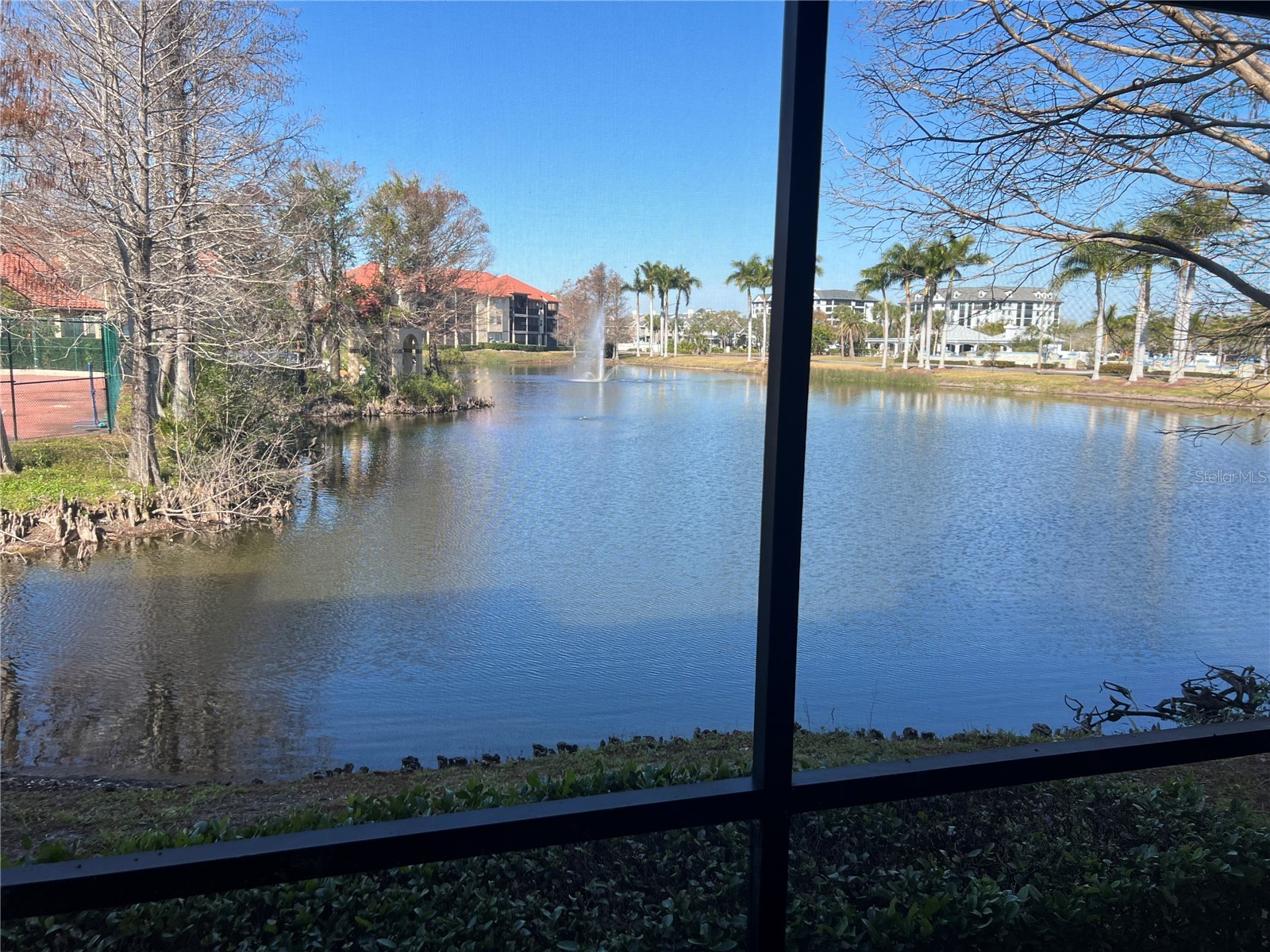 2400 Feather Sound Drive #1217 Clearwater FL 33762 TB8476523 image20