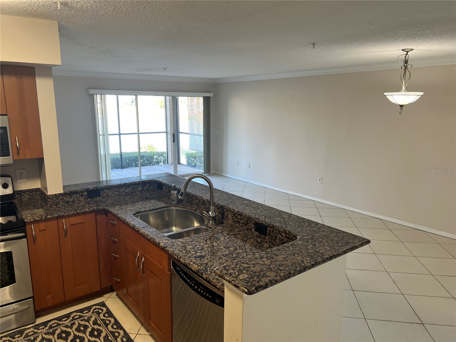 2400 Feather Sound Drive #1217 Clearwater FL 33762 TB8476523 image3