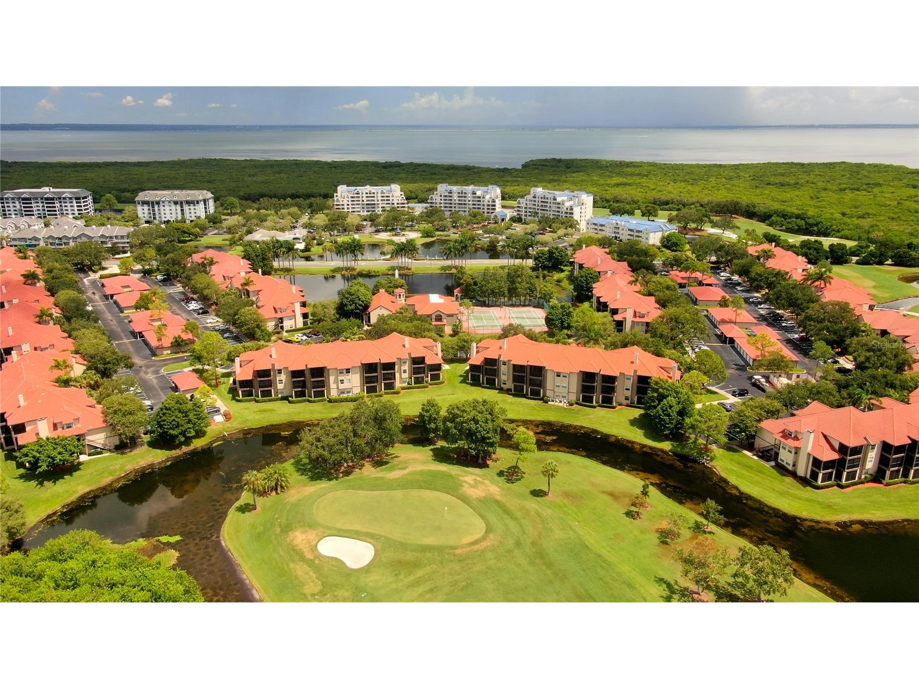 2400 Feather Sound Drive #1228 Clearwater FL 33762 TB8499805 image42