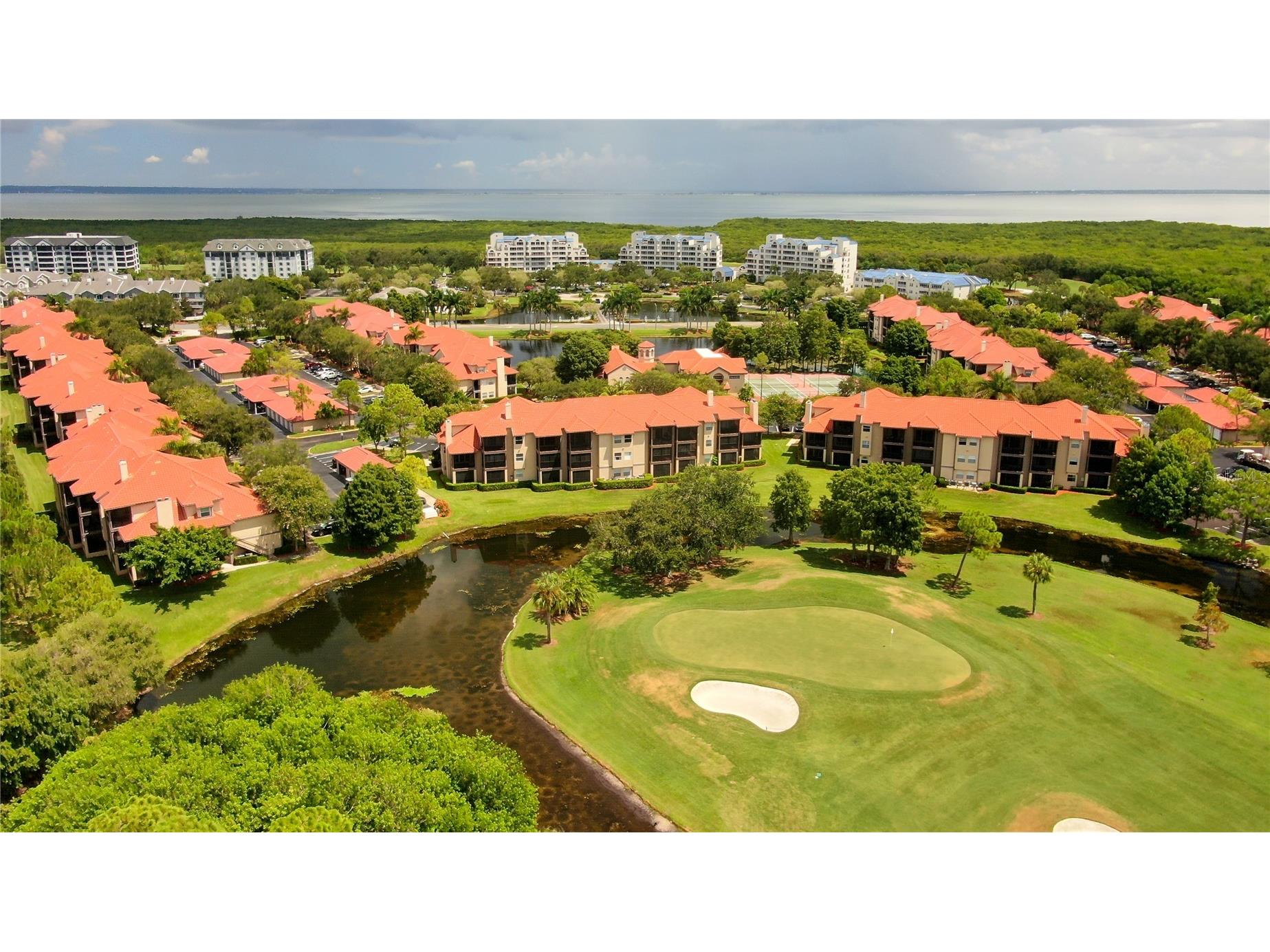 2400 Feather Sound Drive #1228 Clearwater FL 33762 TB8499805 image44