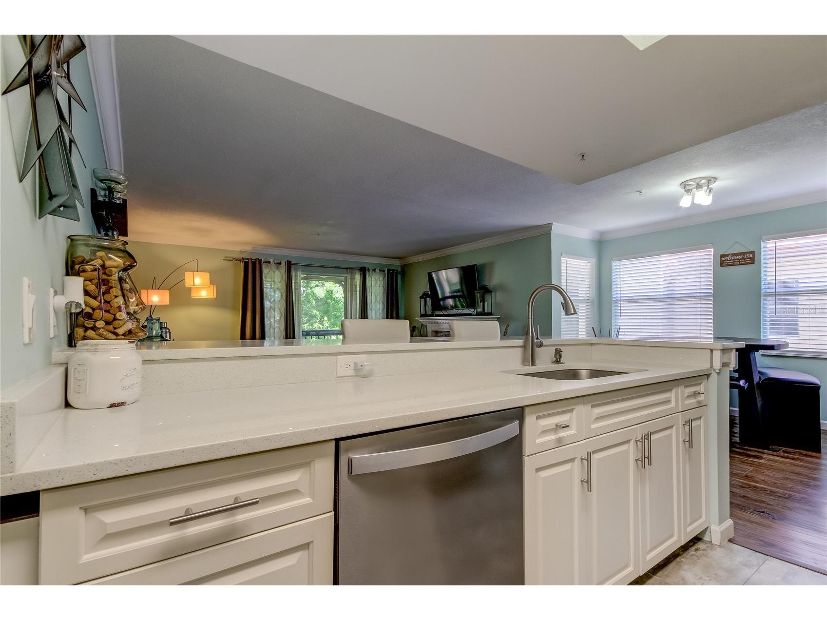 2400 Feather Sound Drive #1228 Clearwater FL 33762 TB8499805 image8