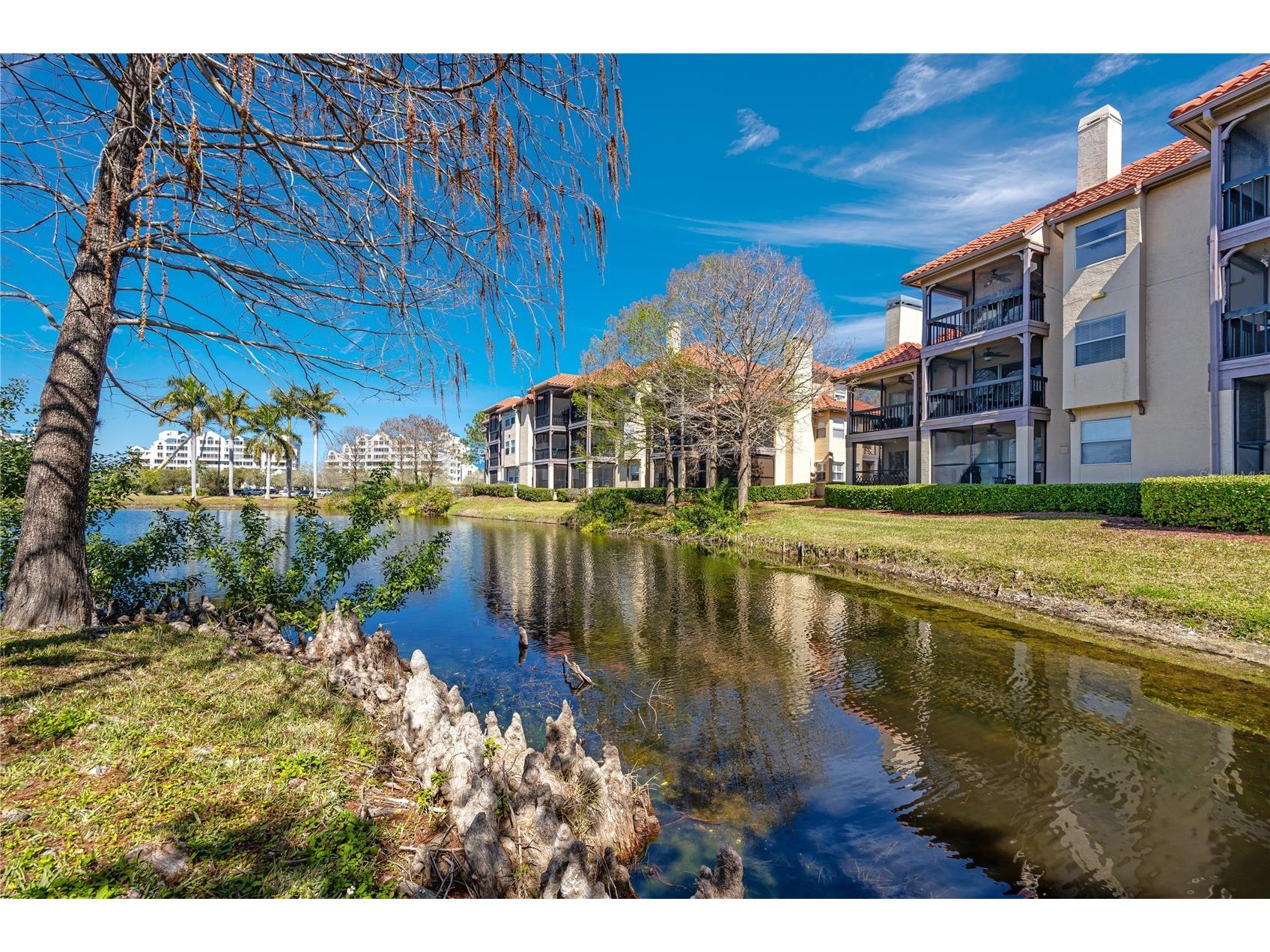 2400 Feather Sound Drive #1236 Clearwater FL 33762 TB8486791 image3