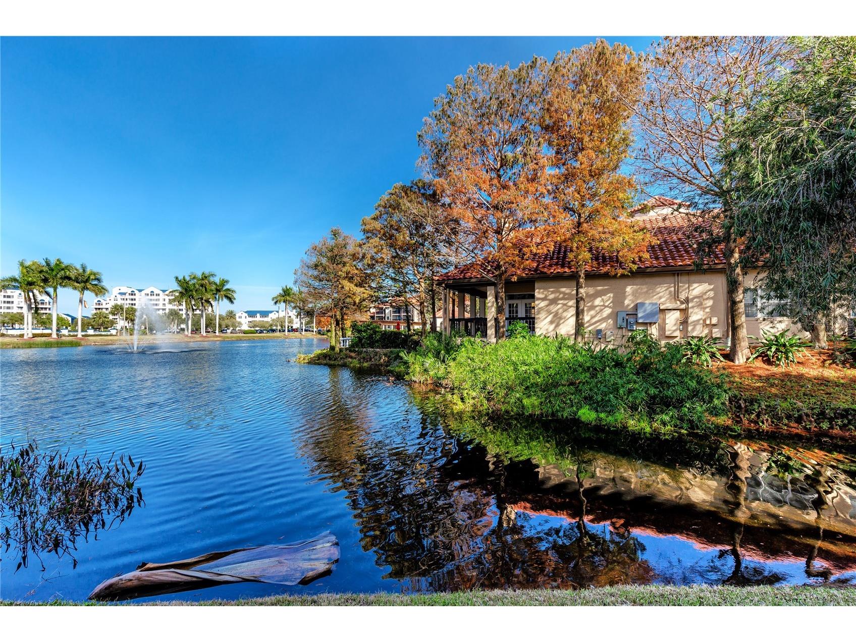 2400 Feather Sound Drive #1236 Clearwater FL 33762 TB8486791 image40