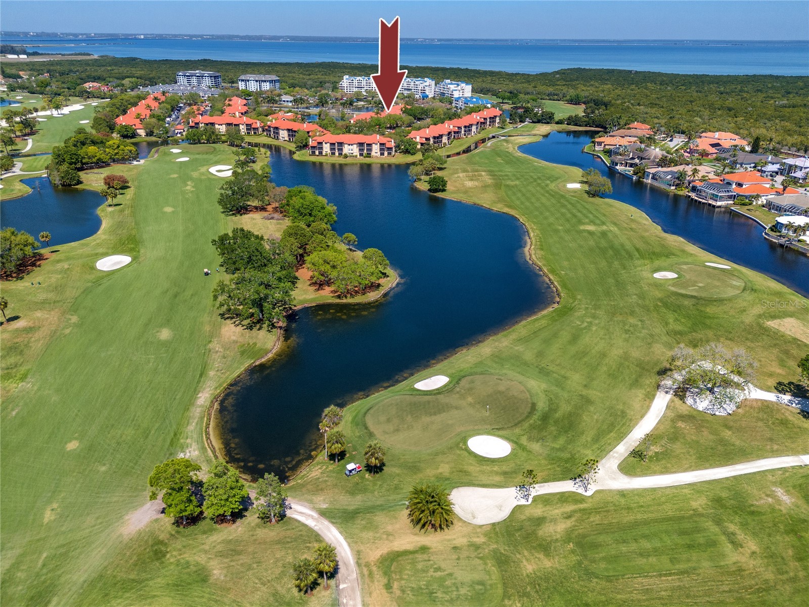 2400 Feather Sound Drive #1236 Clearwater FL 33762 TB8486791 image47