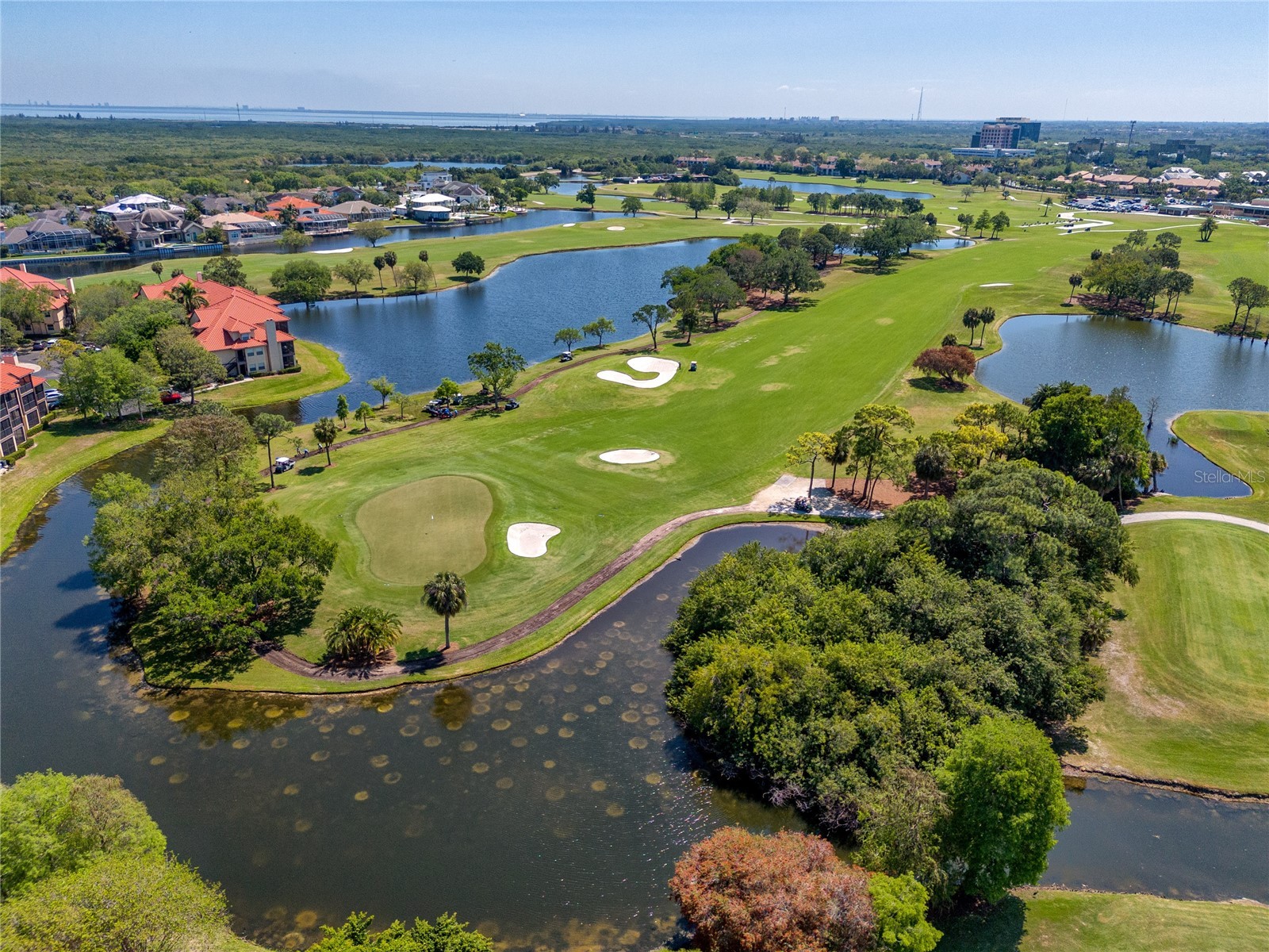 2400 Feather Sound Drive #1236 Clearwater FL 33762 TB8486791 image50