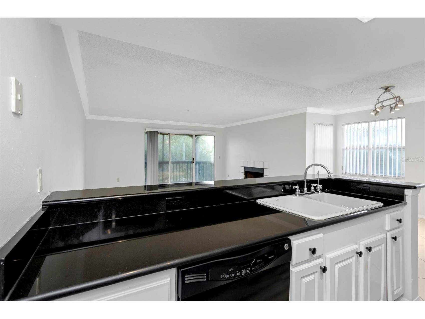 2400 Feather Sound Drive #1328 Clearwater FL 33762 TB8498627 image9