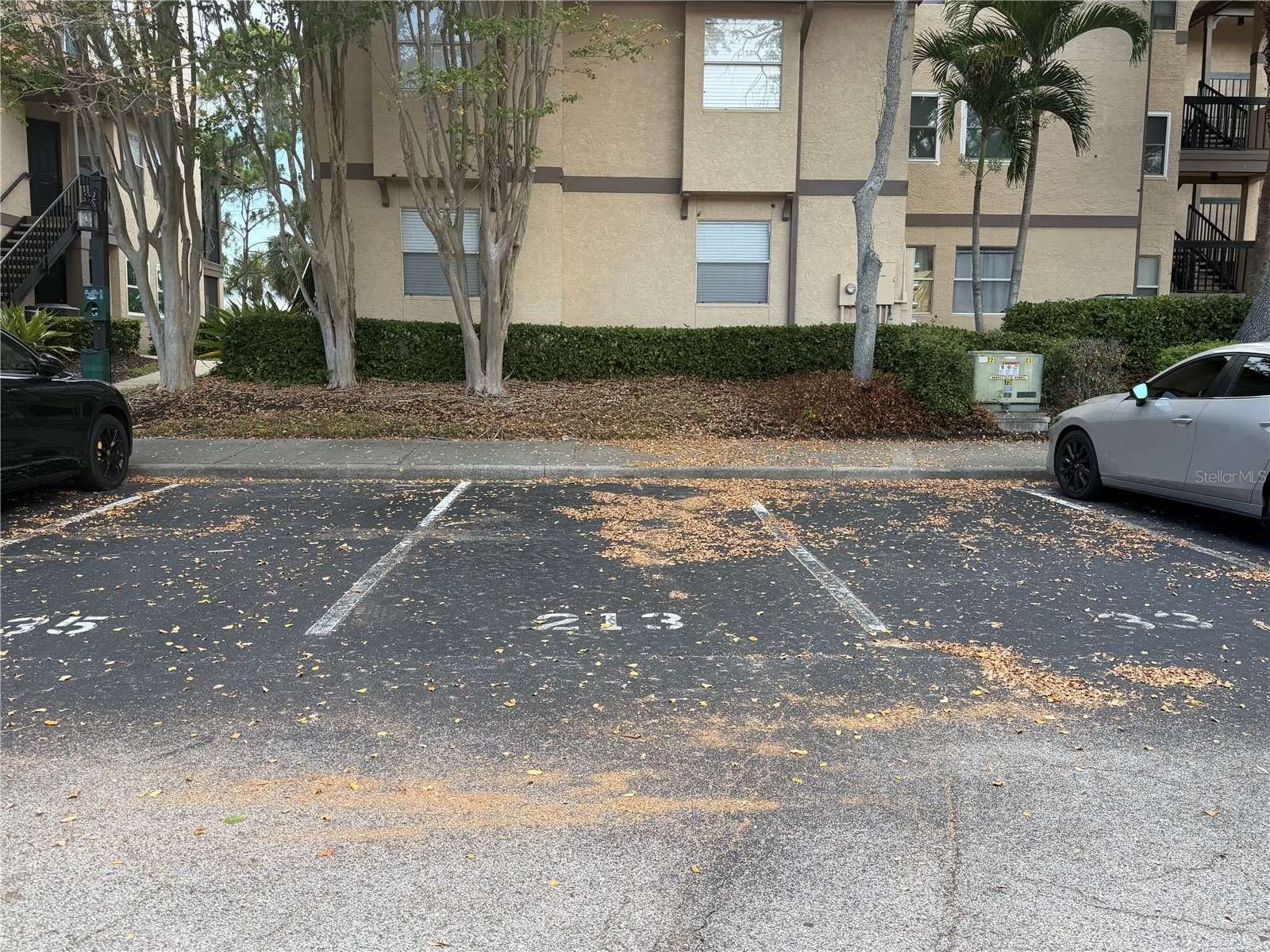 2400 Feather Sound Drive #213 Clearwater FL 33762 TB8527986 image21