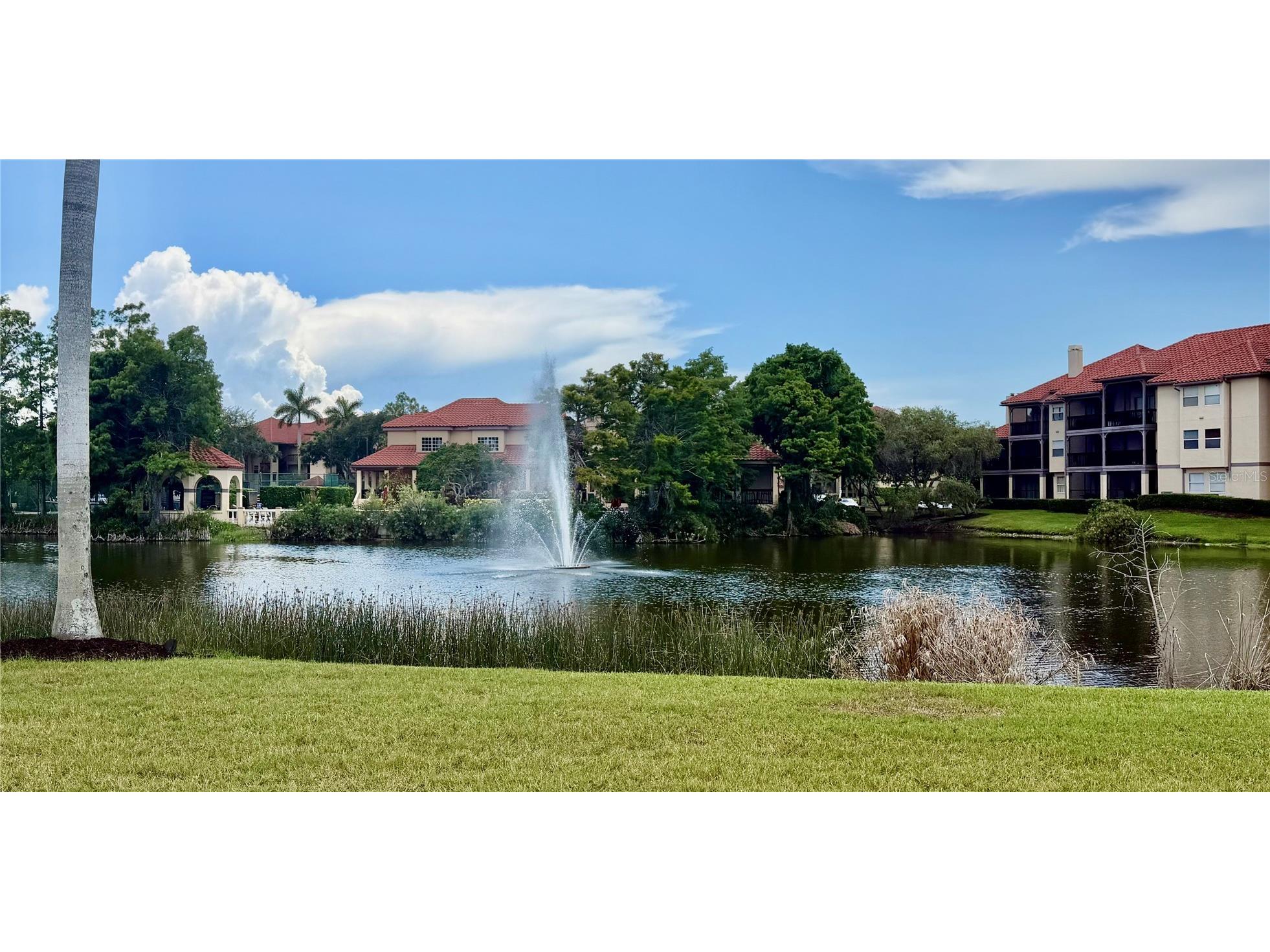 2400 Feather Sound Drive #213 Clearwater FL 33762 TB8527986 image29