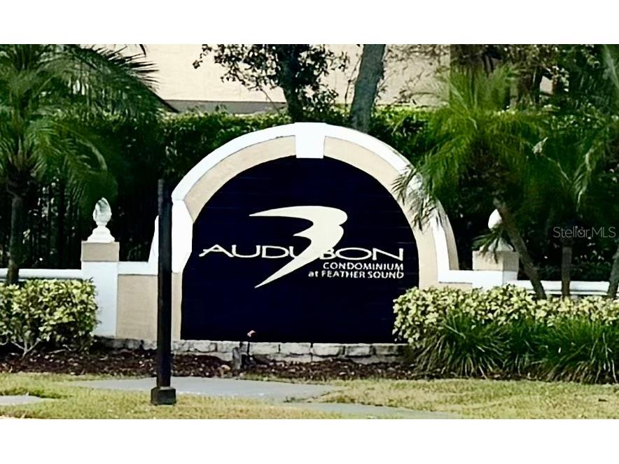 2400 Feather Sound Drive #213 Clearwater FL 33762 TB8527986 image30