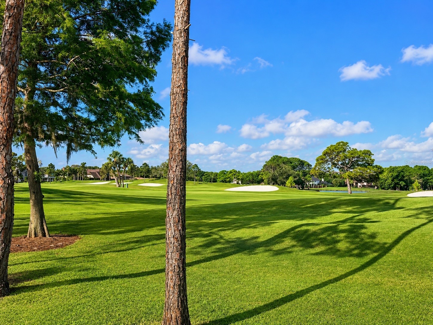 2400 Feather Sound Drive #223 Clearwater FL 33762 TB8510903 image17