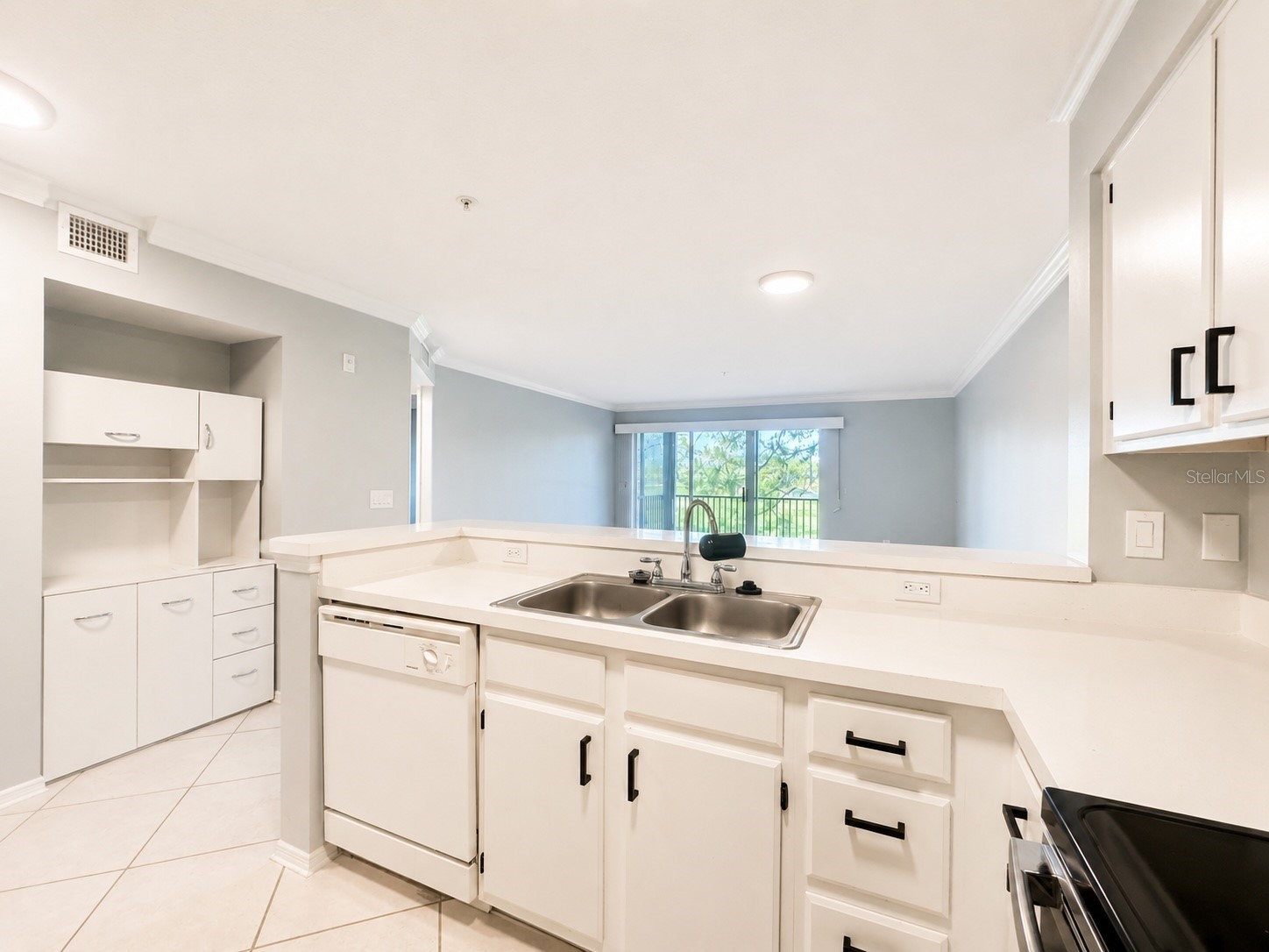 2400 Feather Sound Drive #223 Clearwater FL 33762 TB8510903 image7