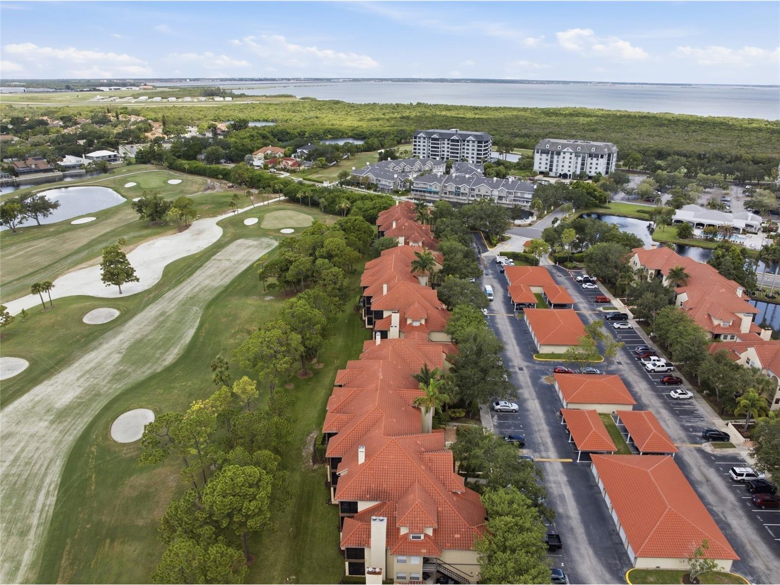 2400 Feather Sound Drive #313 Clearwater FL 33762 TB8522540 image50