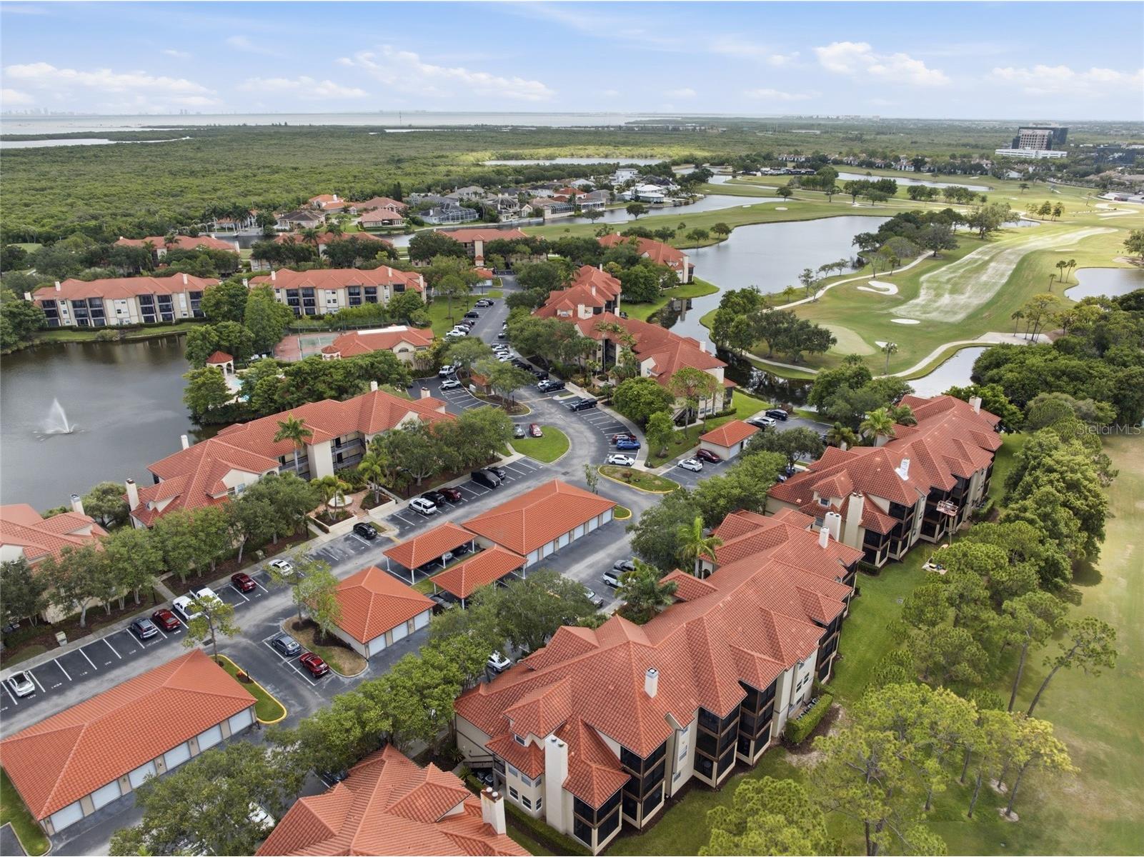 2400 Feather Sound Drive #313 Clearwater FL 33762 TB8522540 image53