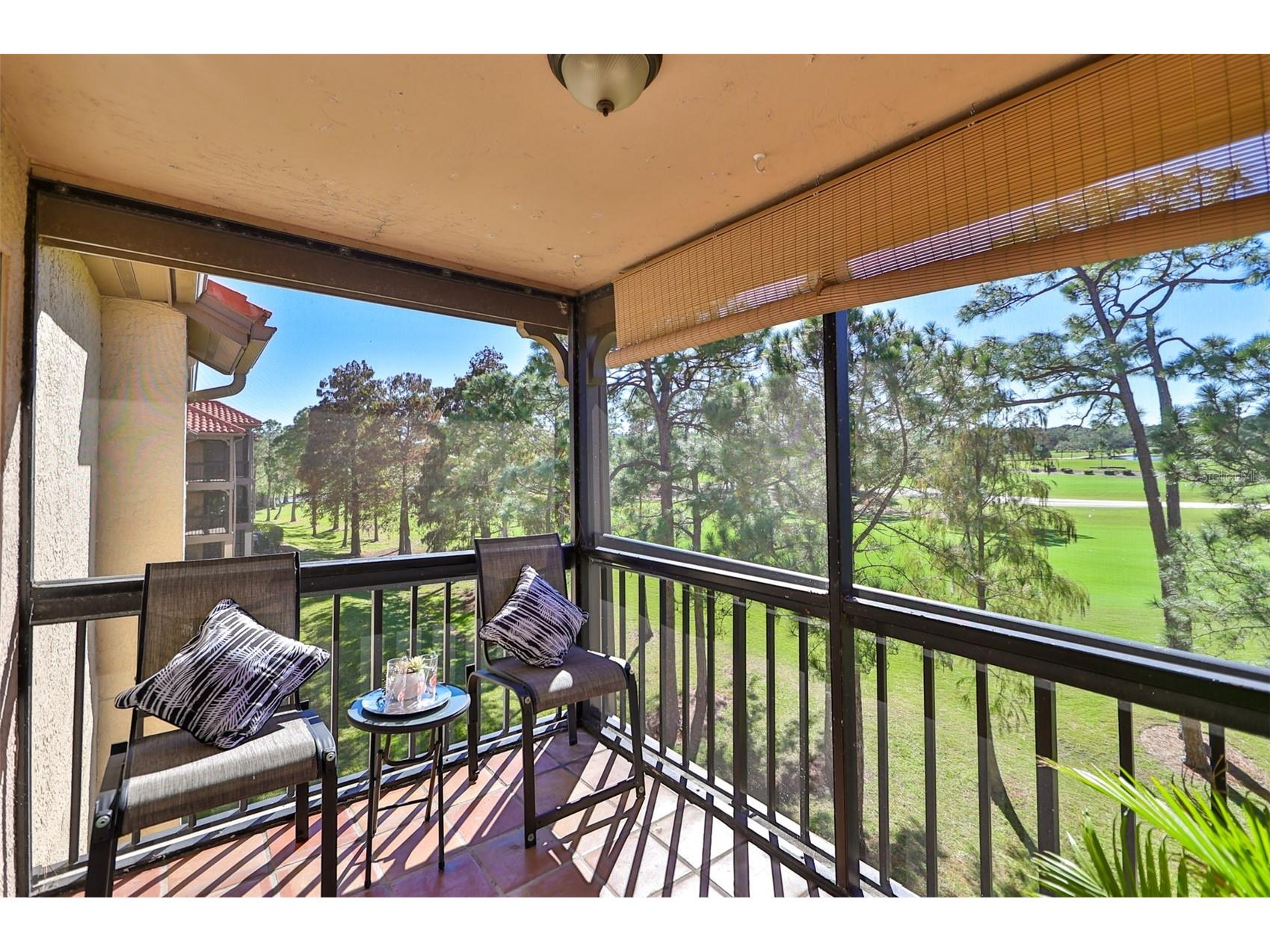 2400 Feather Sound Drive #332 Clearwater FL 33762 TB8469102 image26