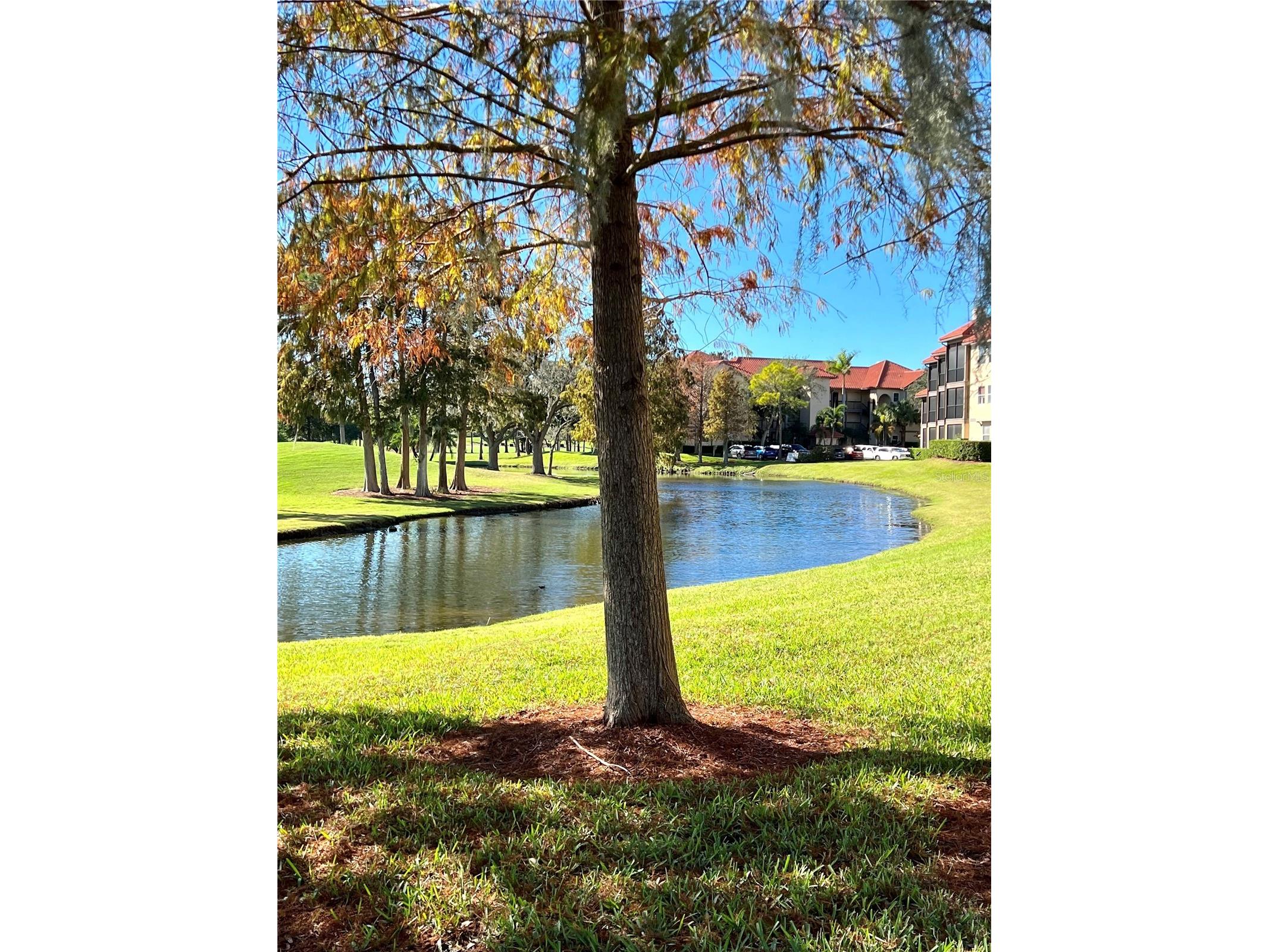 2400 Feather Sound Drive #332 Clearwater FL 33762 TB8469102 image43