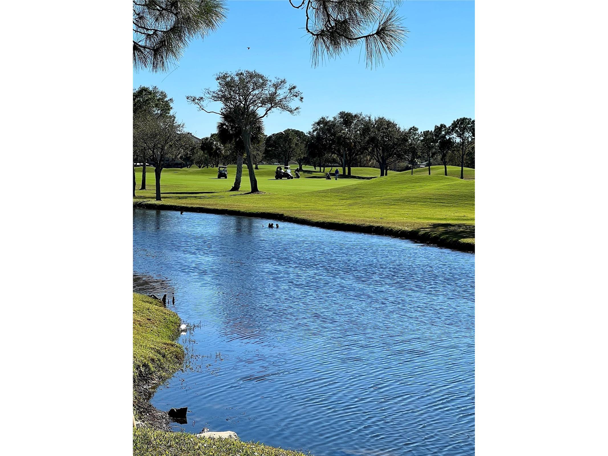 2400 Feather Sound Drive #332 Clearwater FL 33762 TB8469102 image44