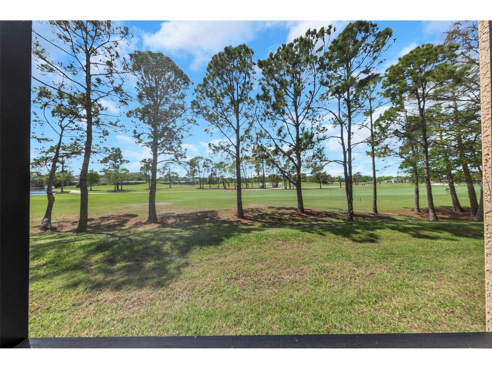 2400 Feather Sound Drive #412 Clearwater FL 33762 TB8488895 image25