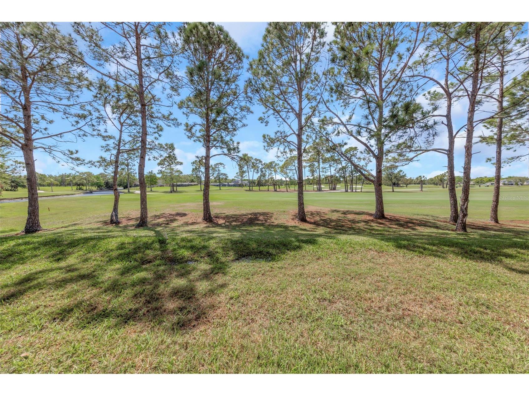 2400 Feather Sound Drive #412 Clearwater FL 33762 TB8488895 image29