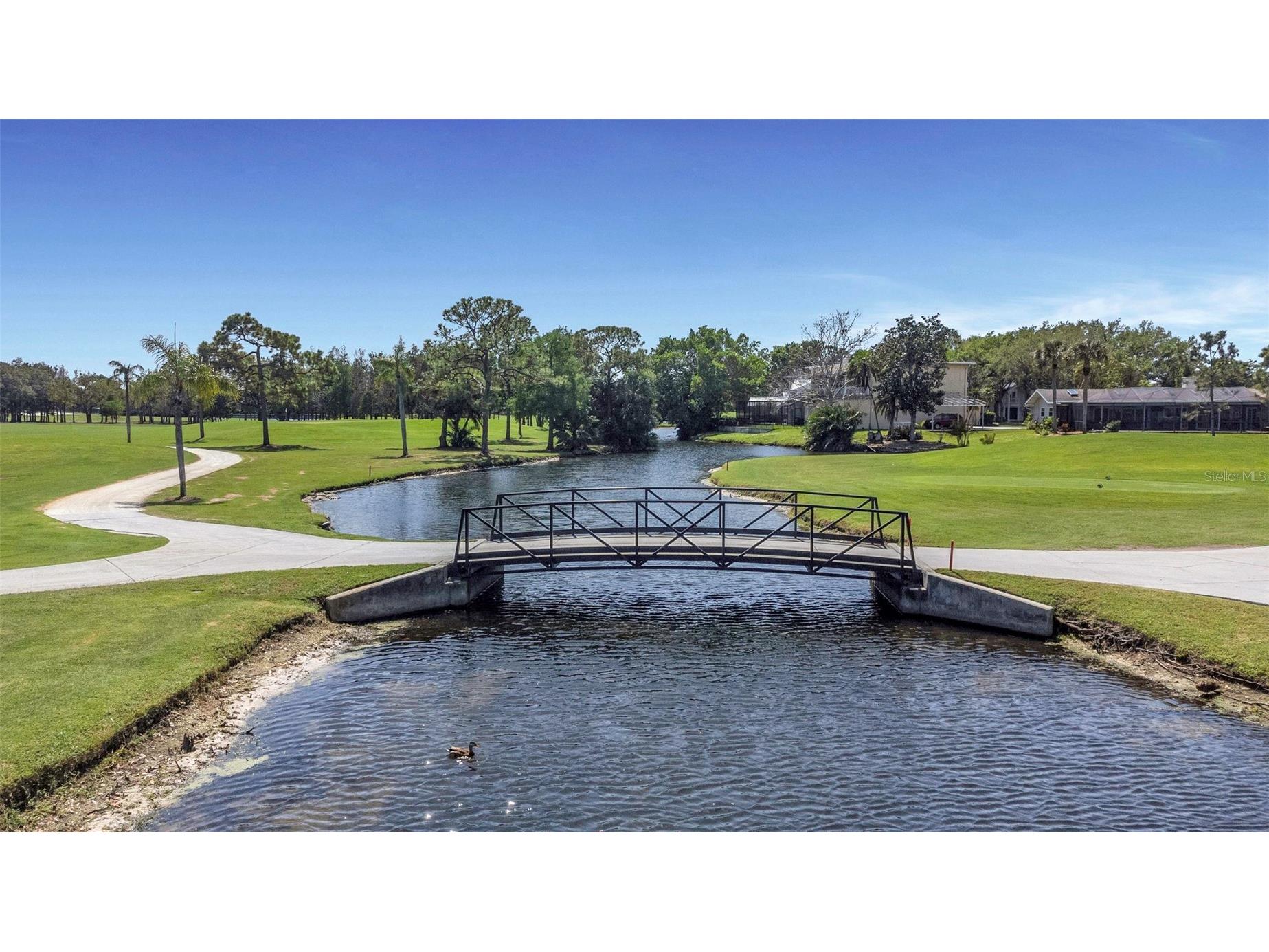 2400 Feather Sound Drive #412 Clearwater FL 33762 TB8488895 image37