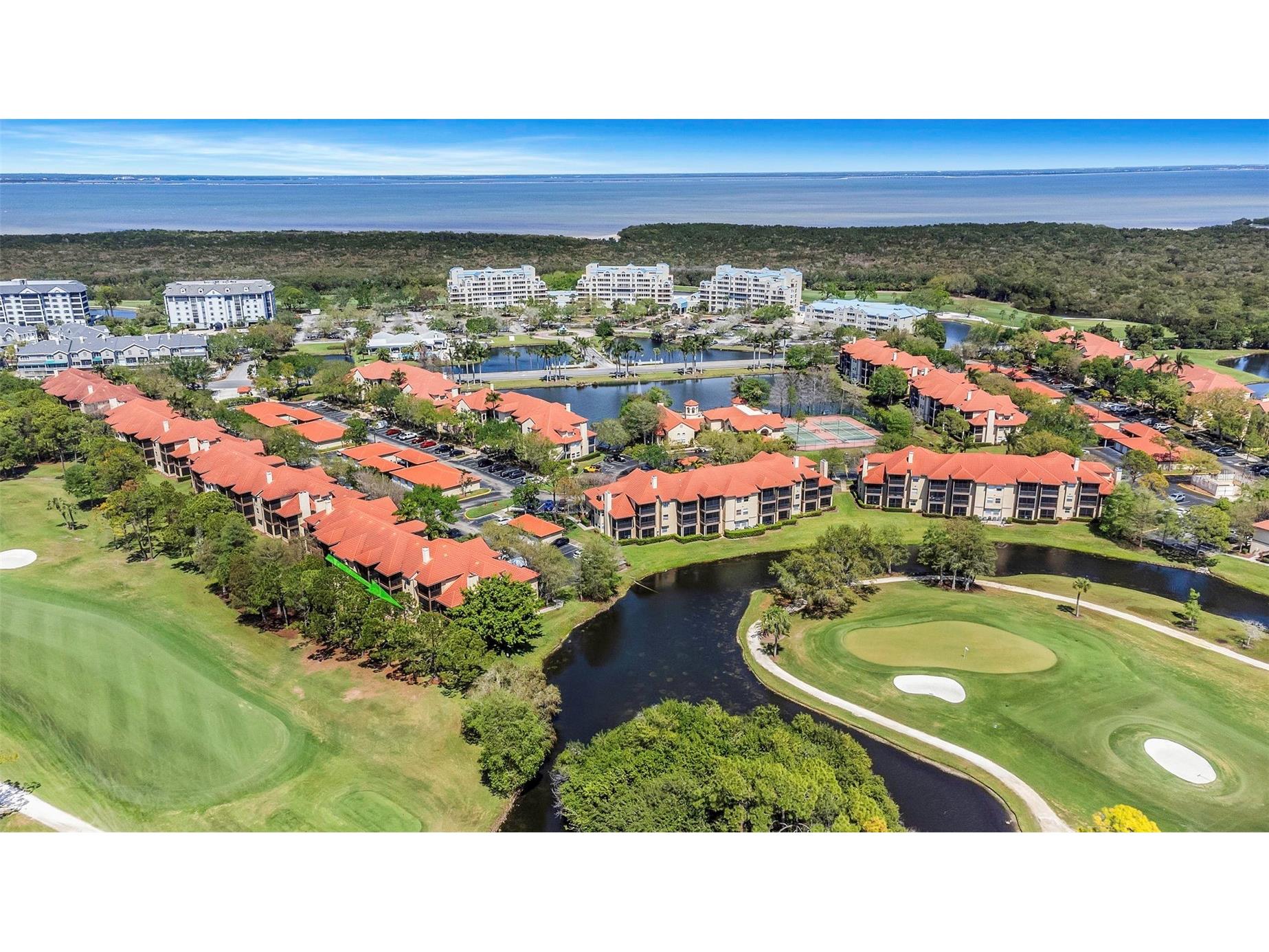 2400 Feather Sound Drive #412 Clearwater FL 33762 TB8488895 image39
