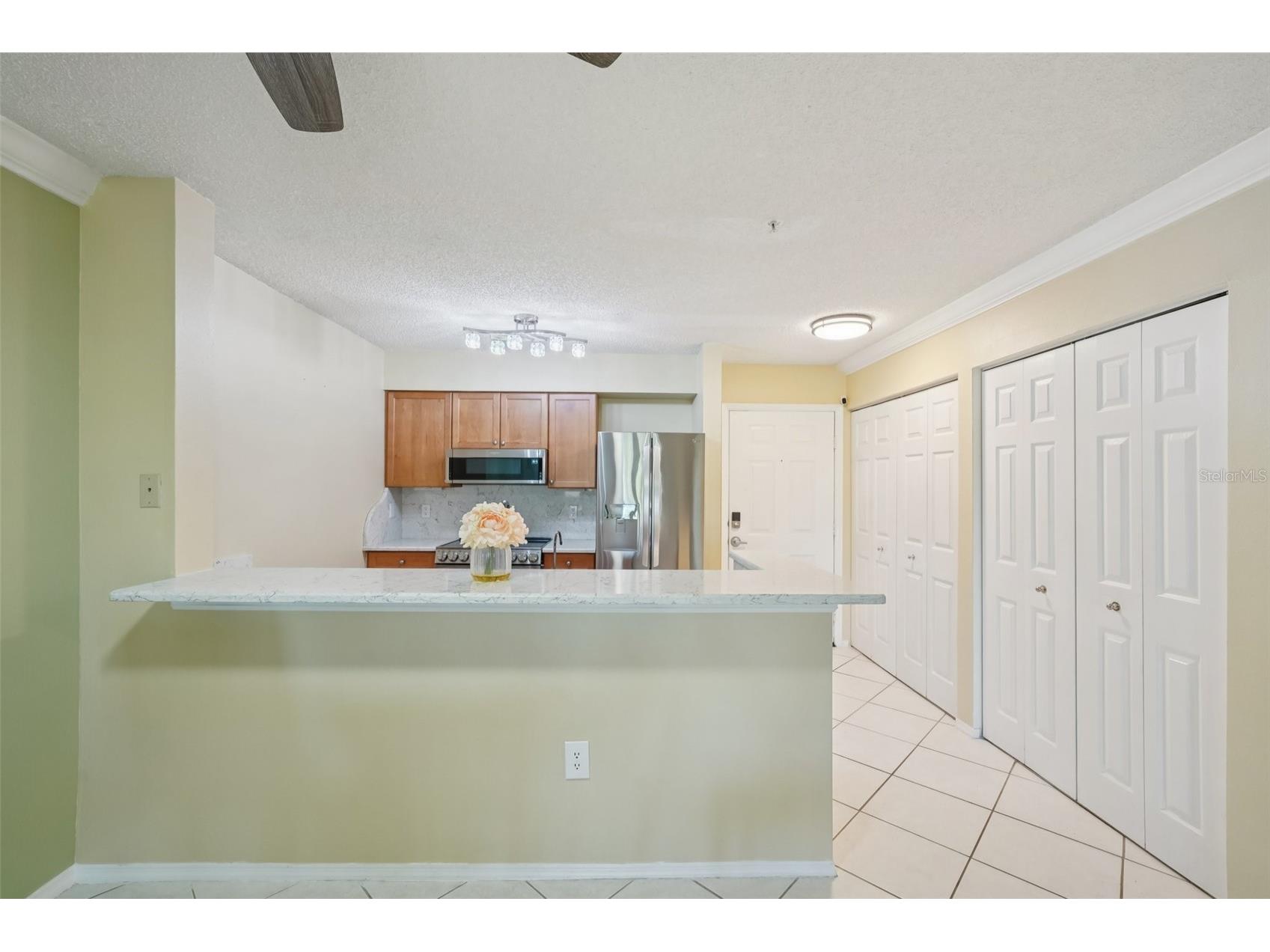2400 Feather Sound Drive #415 Clearwater FL 33762 TB8474081 image19
