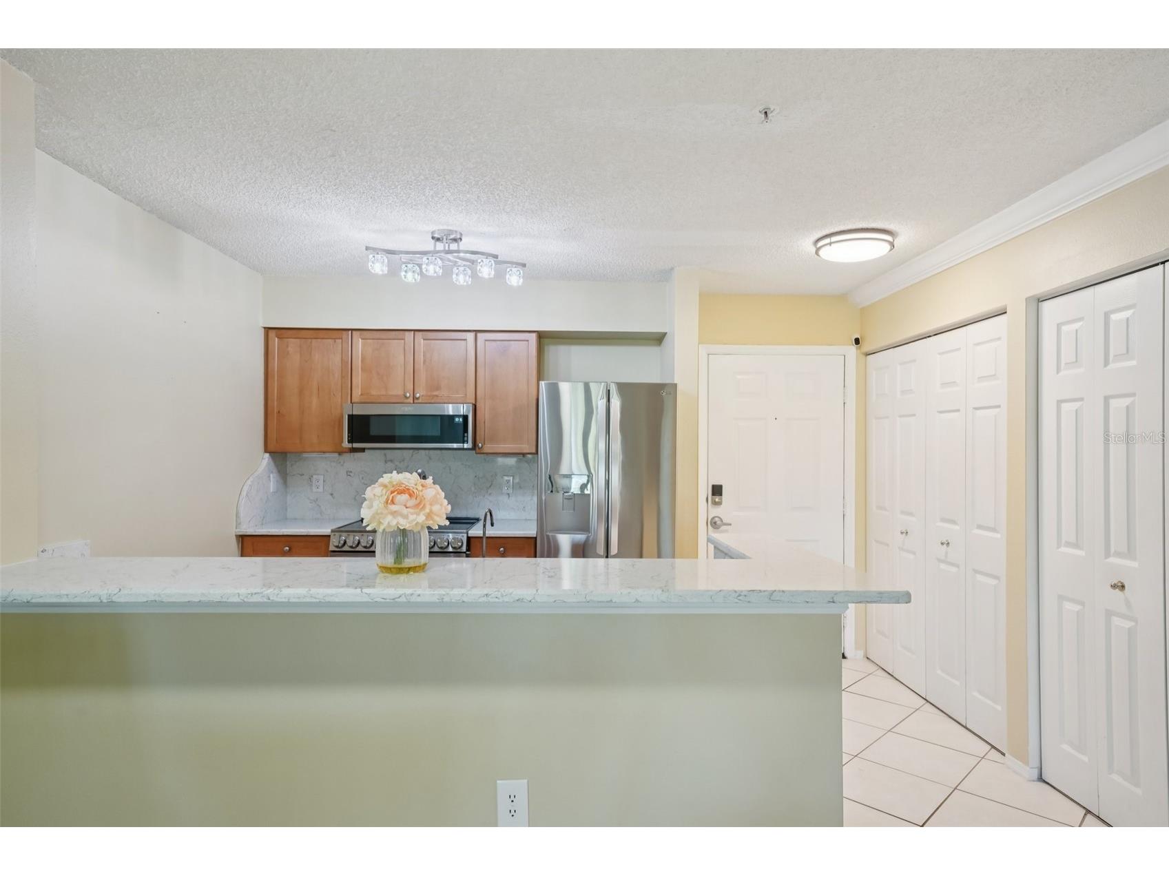 2400 Feather Sound Drive #415 Clearwater FL 33762 TB8474081 image20