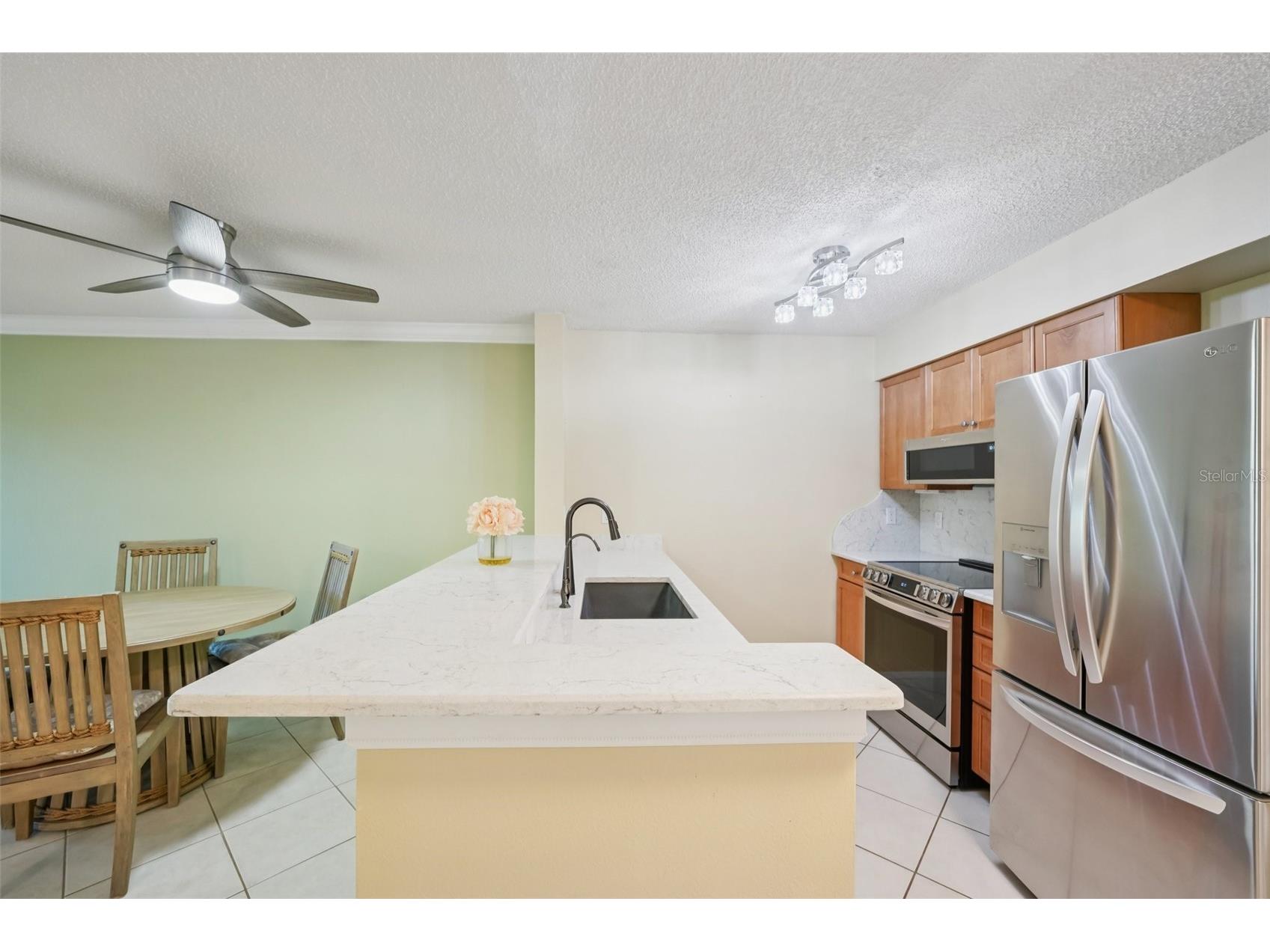 2400 Feather Sound Drive #415 Clearwater FL 33762 TB8474081 image22