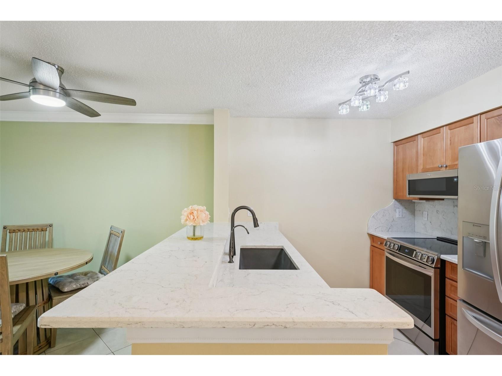 2400 Feather Sound Drive #415 Clearwater FL 33762 TB8474081 image23