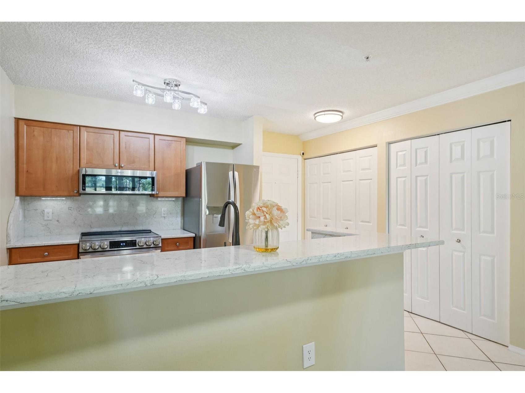 2400 Feather Sound Drive #415 Clearwater FL 33762 TB8474081 image27