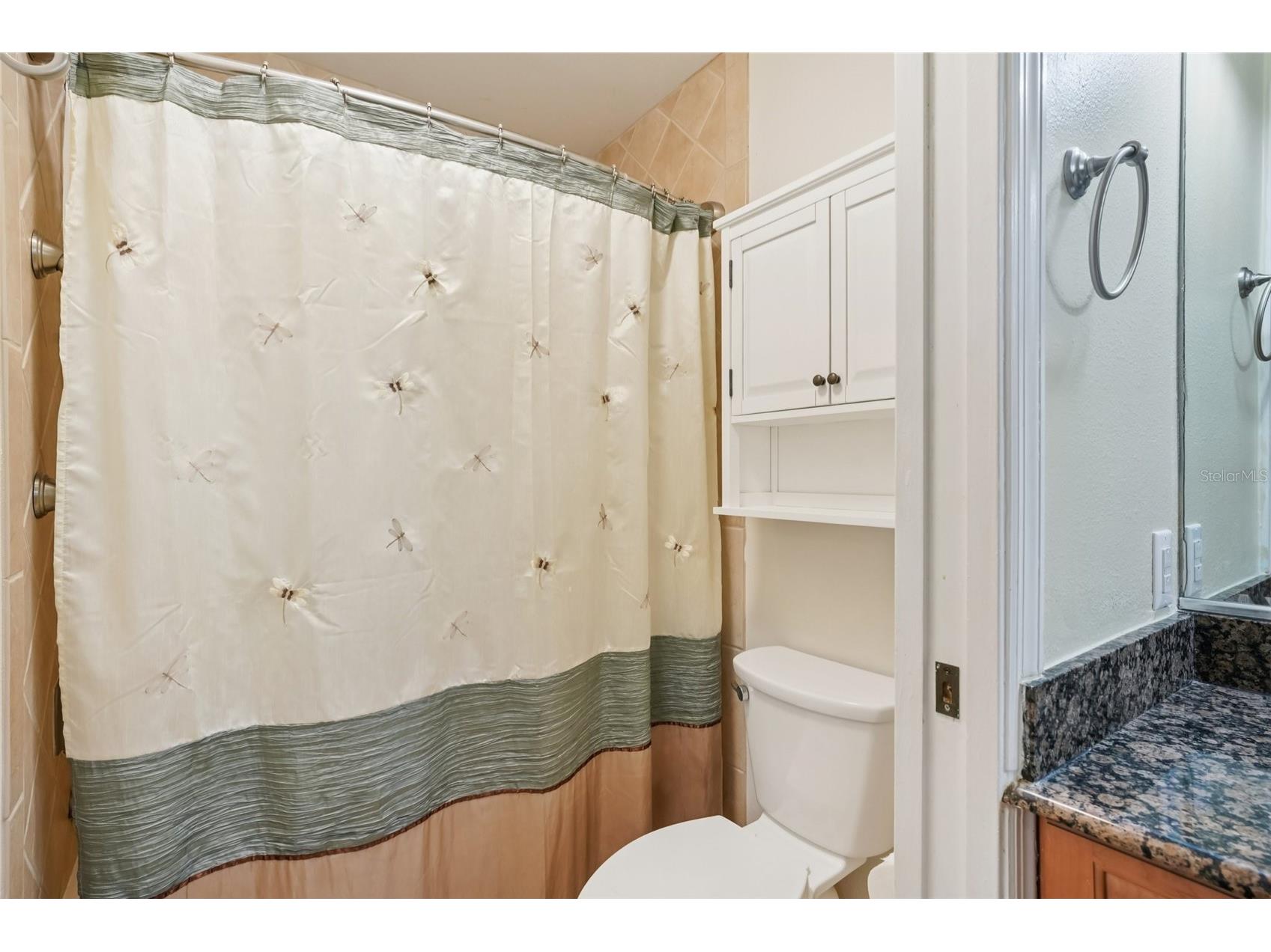 2400 Feather Sound Drive #415 Clearwater FL 33762 TB8474081 image43