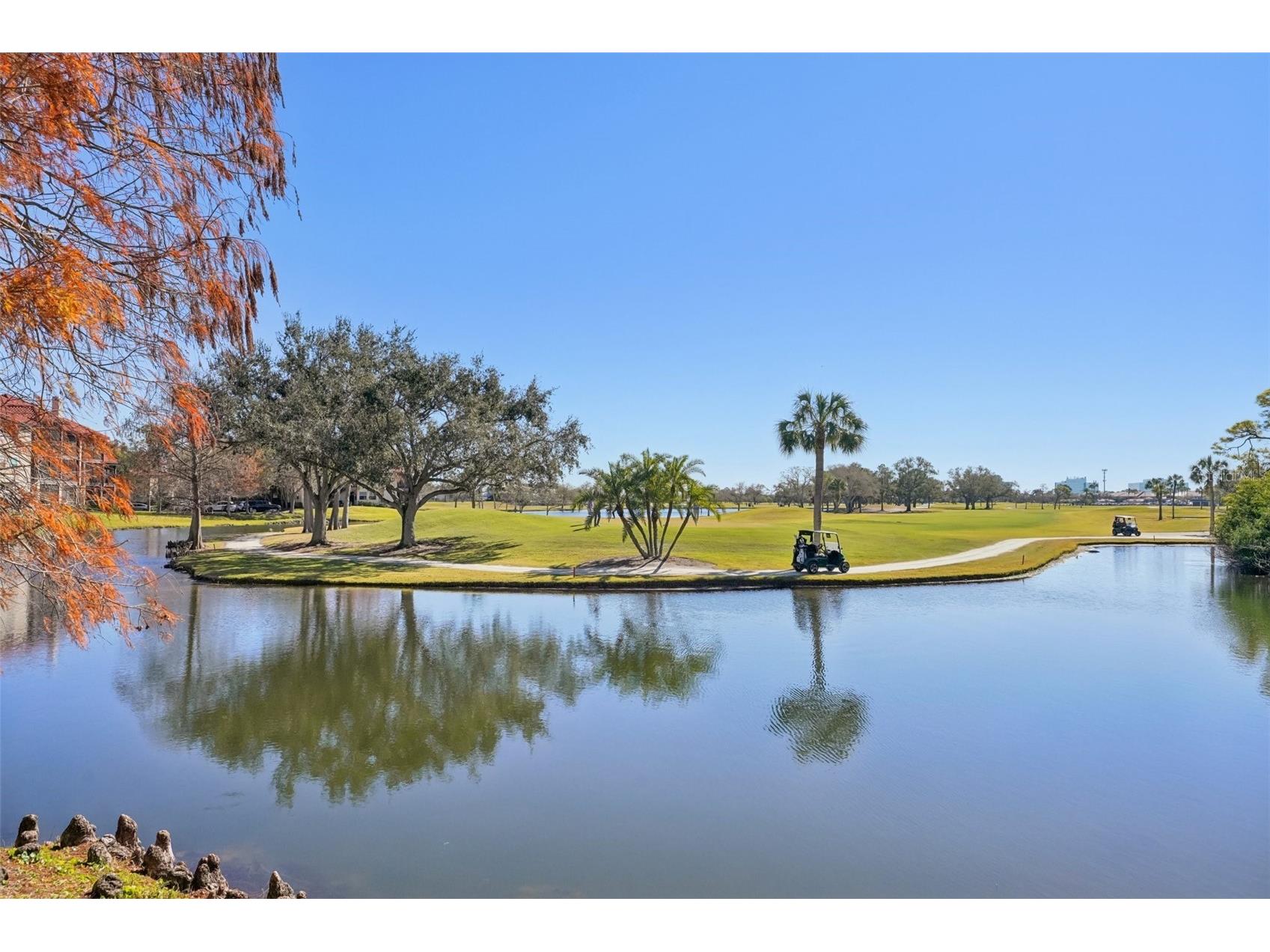 2400 Feather Sound Drive #415 Clearwater FL 33762 TB8474081 image54