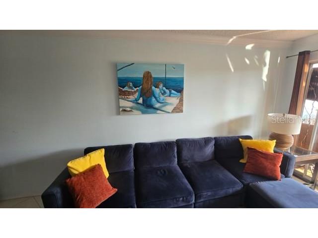 2400 Feather Sound Drive #522 Clearwater FL 33762 TB8465232 image8