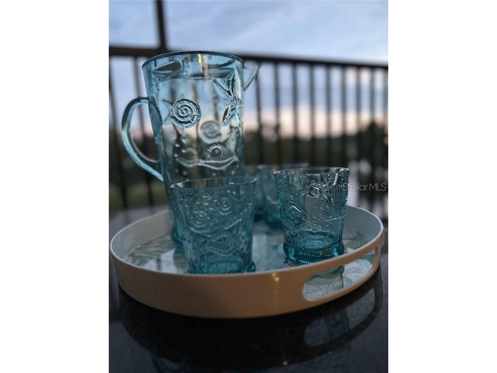 2400 Feather Sound Drive #534 Clearwater FL 33762 TB8434831 image18