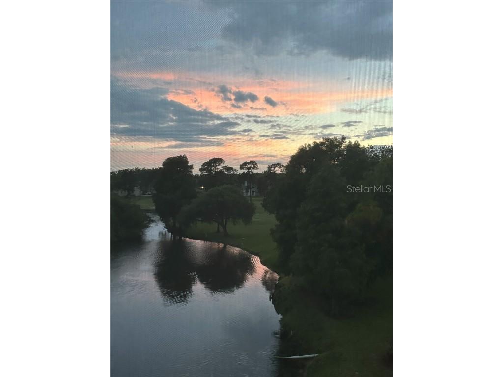 2400 Feather Sound Drive #534 Clearwater FL 33762 TB8434831 image19