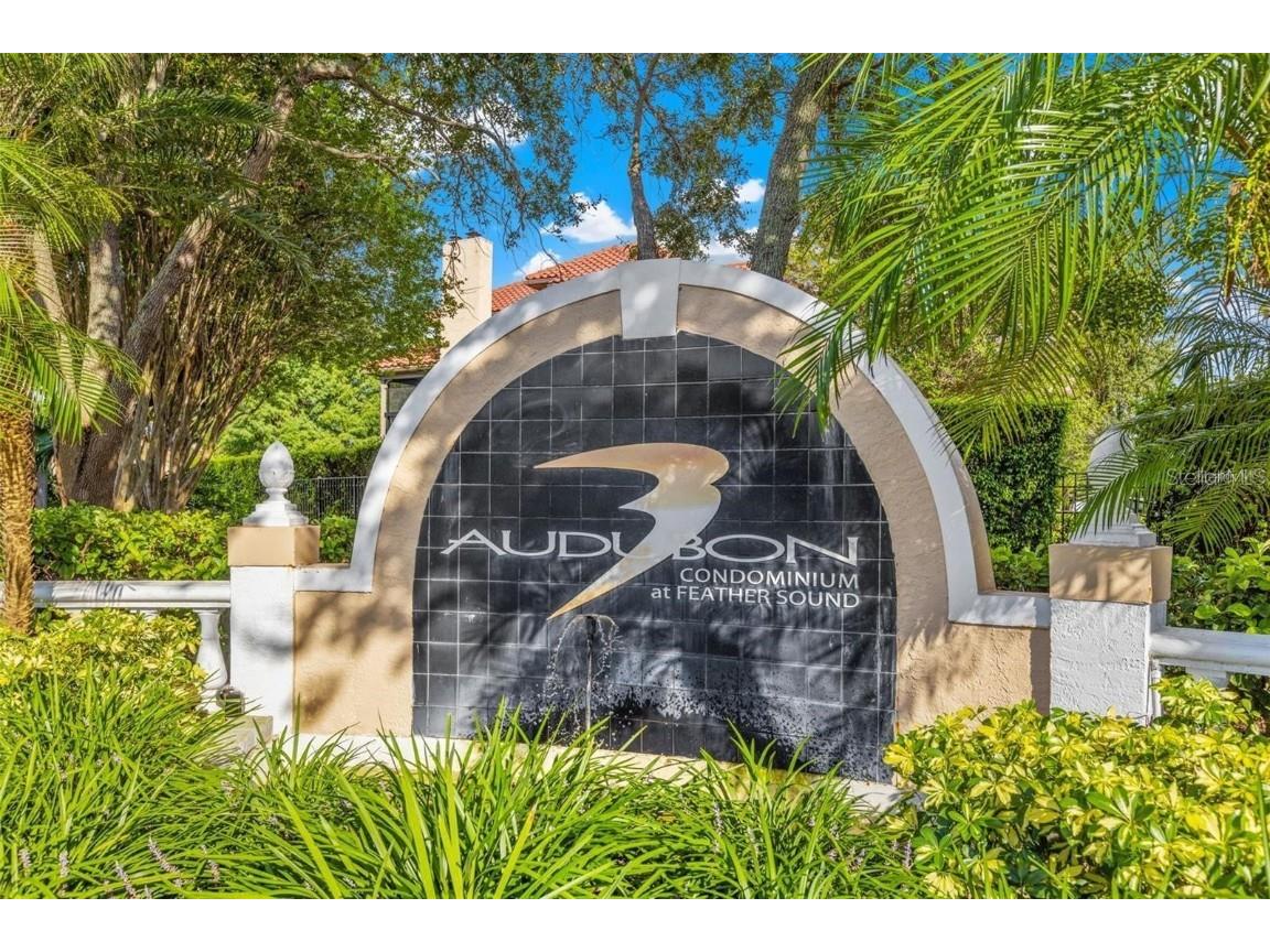 2400 Feather Sound Drive #534 Clearwater FL 33762 TB8434831 image22