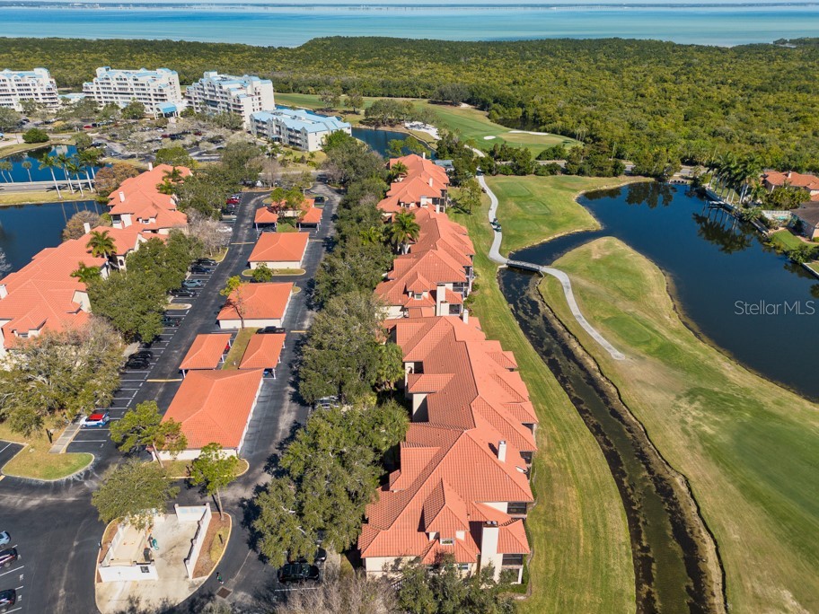 2400 Feather Sound Drive #832 Clearwater FL 33762 TB8472452 image35
