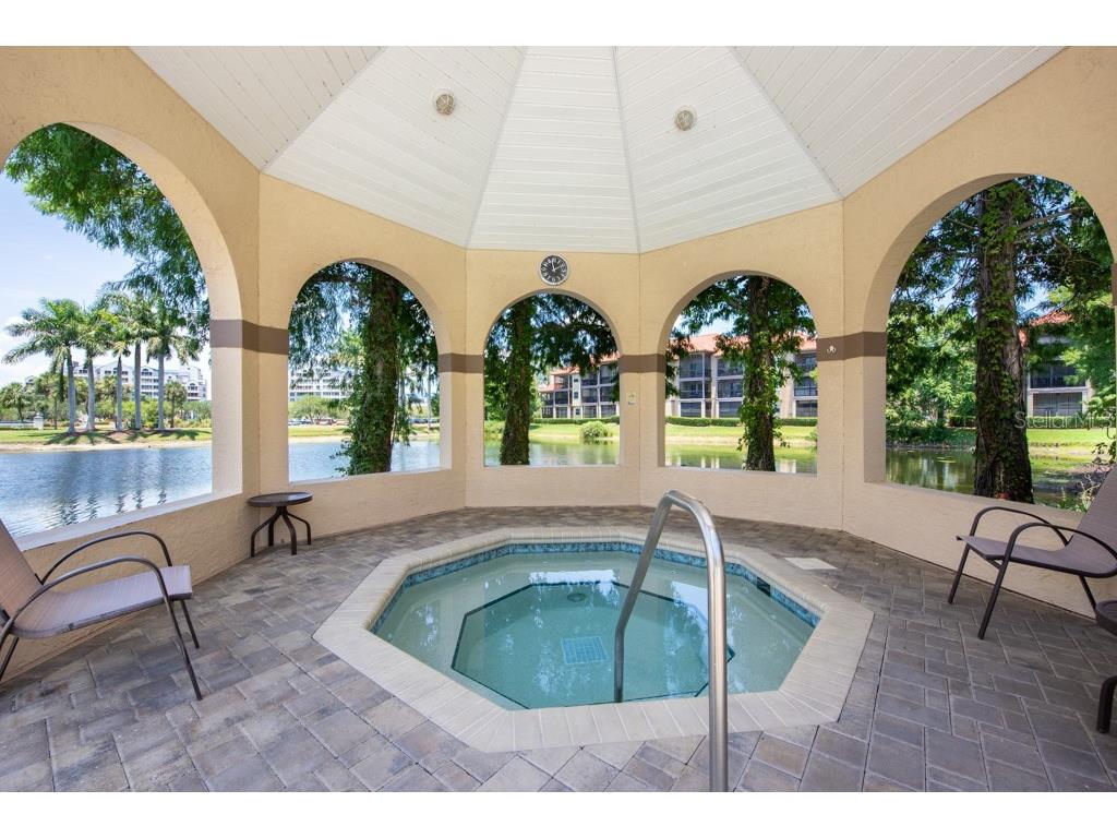 2400 Feather Sound Drive #832 Clearwater FL 33762 TB8472452 image43