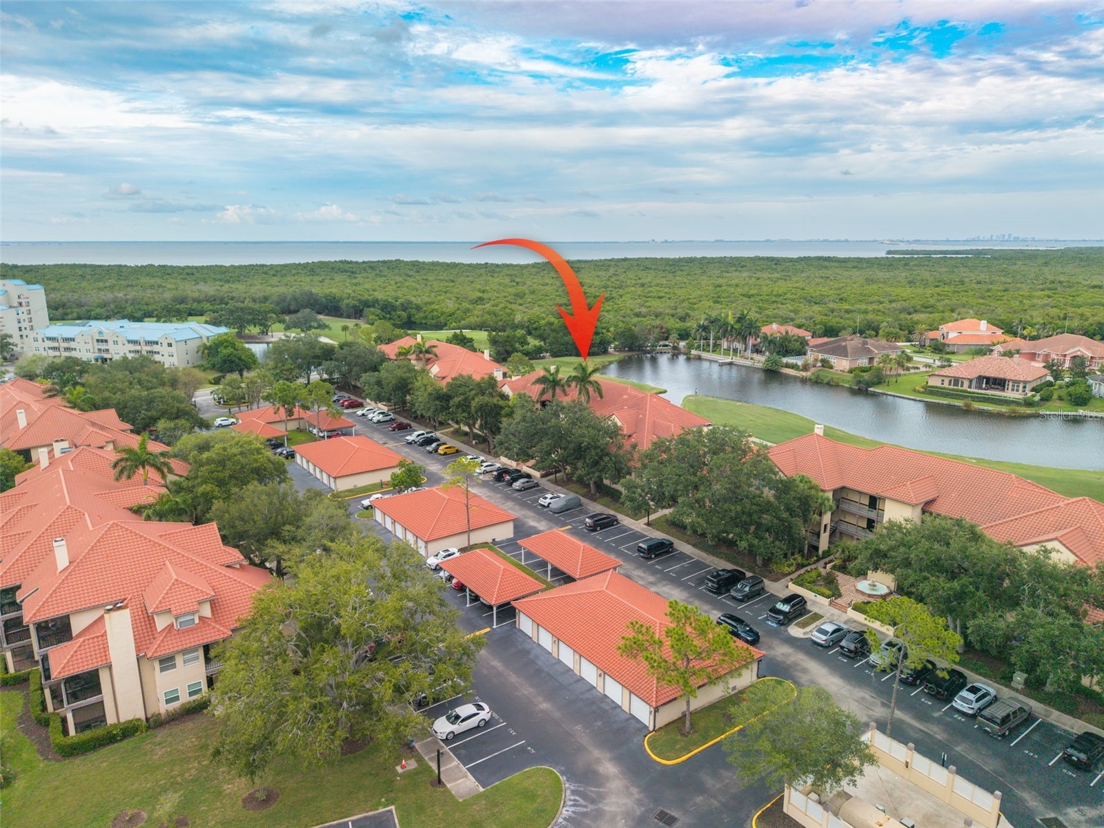 2400 Feather Sound Drive #914 Clearwater FL 33762 TB8530157 image33