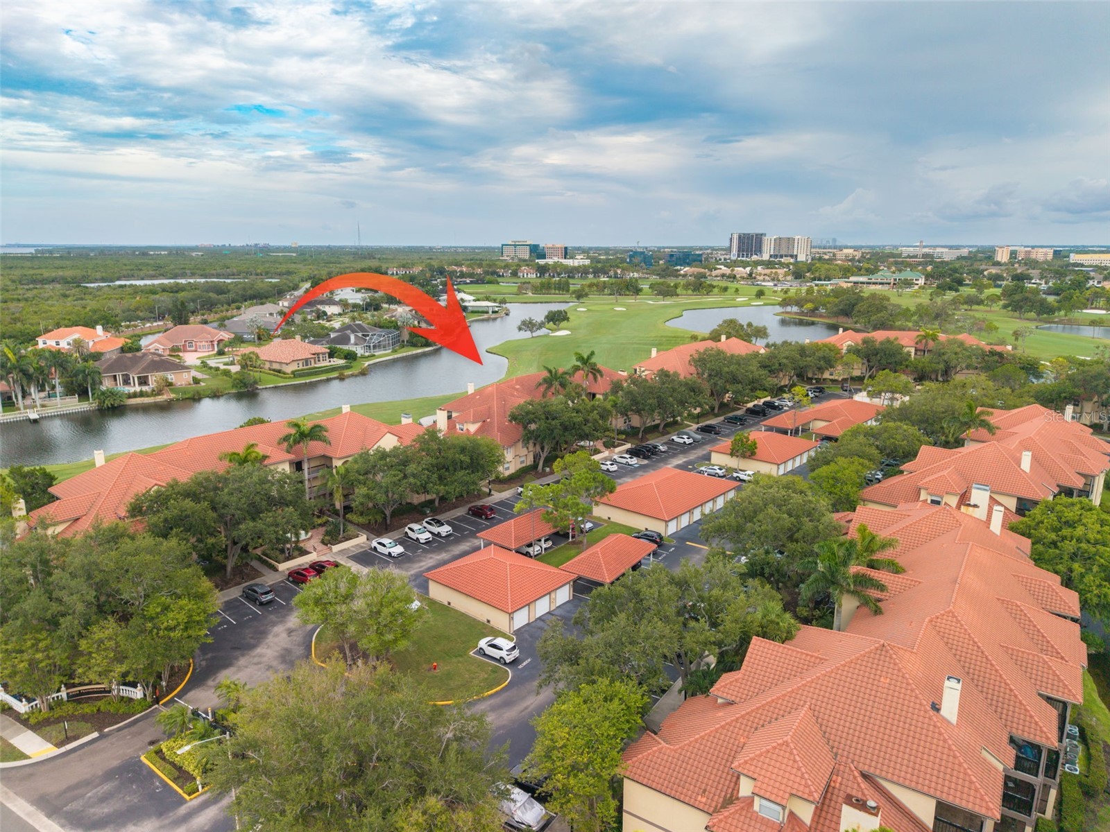 2400 Feather Sound Drive #914 Clearwater FL 33762 TB8530157 image50