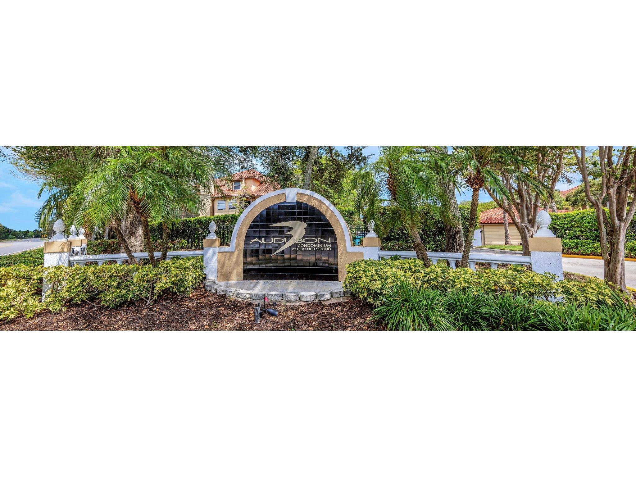2400 Feather Sound Drive #924 Clearwater FL 33762 TB8480064 image31