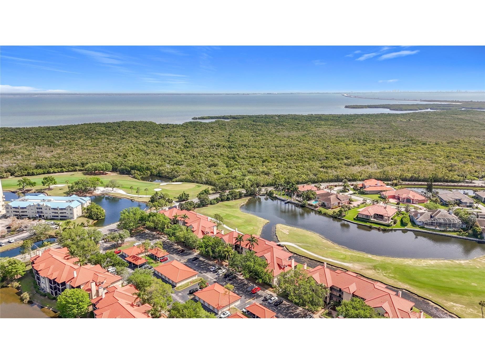 2400 Feather Sound Drive #933 Clearwater FL 33762 TB8493126 image62