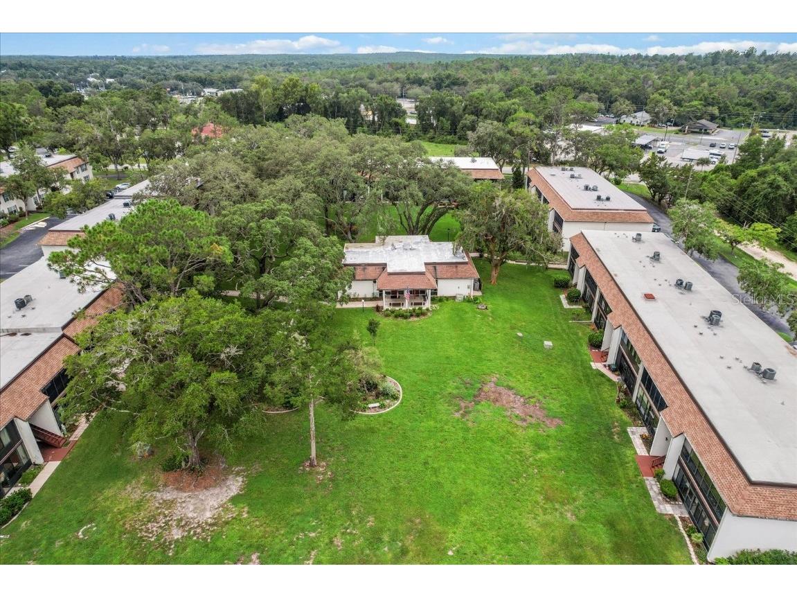 2400 Forest Drive #117 Inverness FL 34453 OM712463 image38