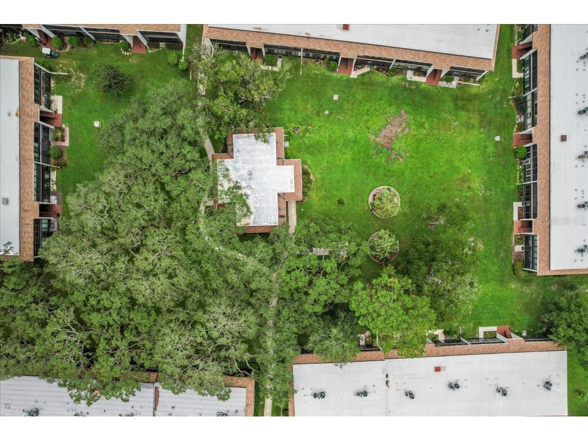 2400 Forest Drive #117 Inverness FL 34453 OM712463 image39