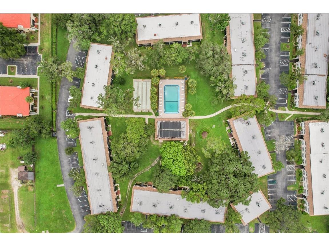 2400 Forest Drive #117 Inverness FL 34453 OM712463 image43