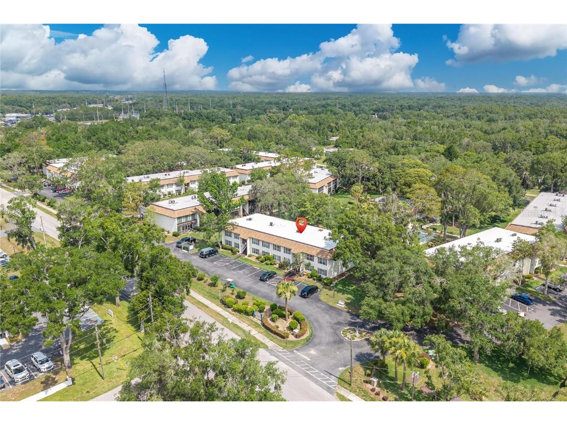 2400 Forest Drive #231 Inverness FL 34453 OM702836 image16