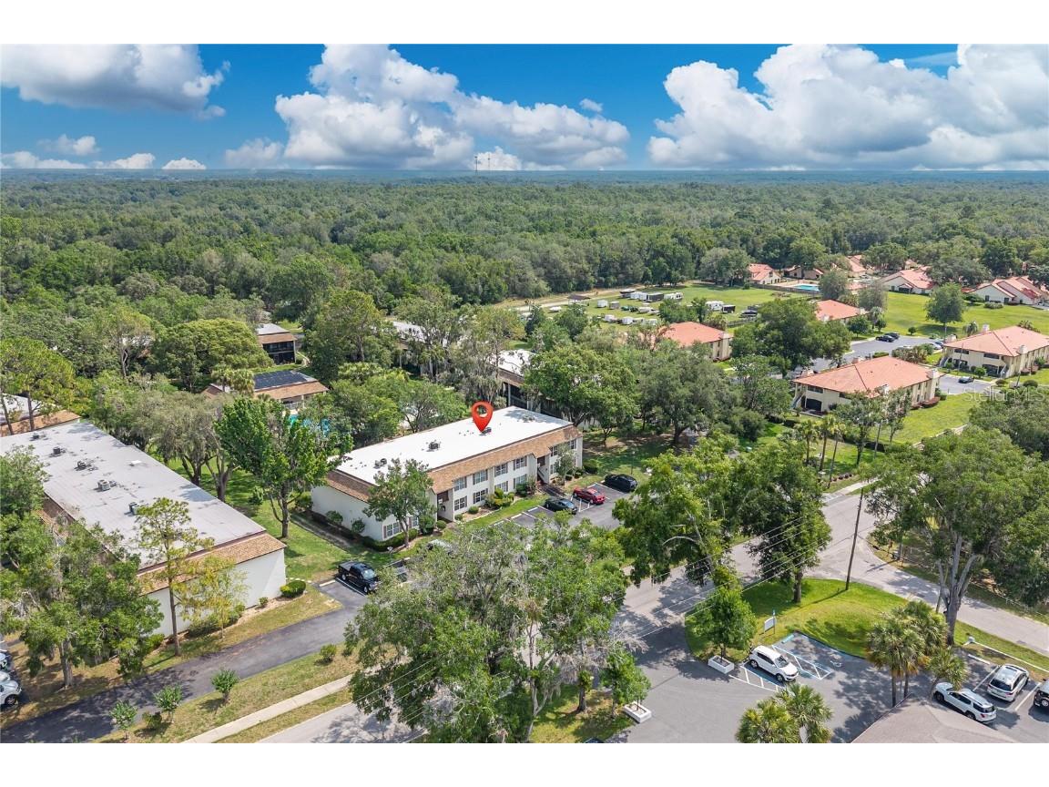 2400 Forest Drive #231 Inverness FL 34453 OM702836 image17