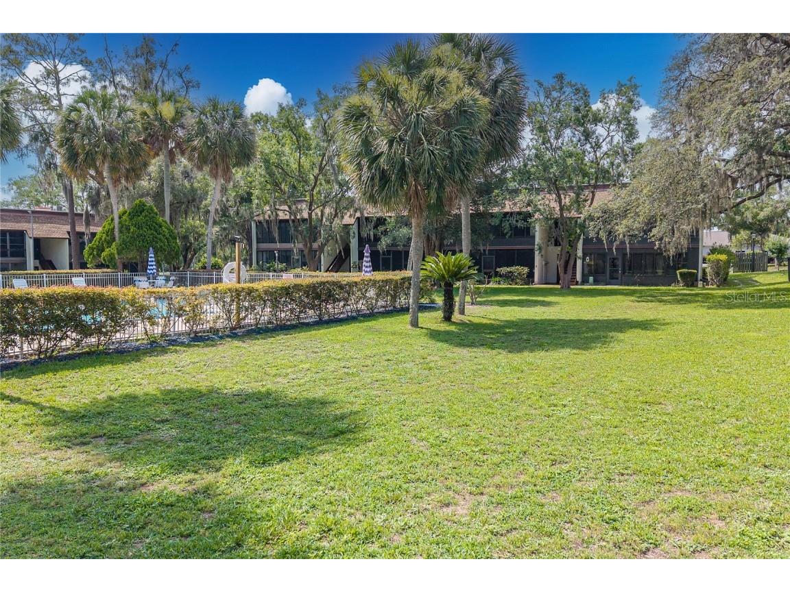 2400 Forest Drive #231 Inverness FL 34453 OM702836 image21