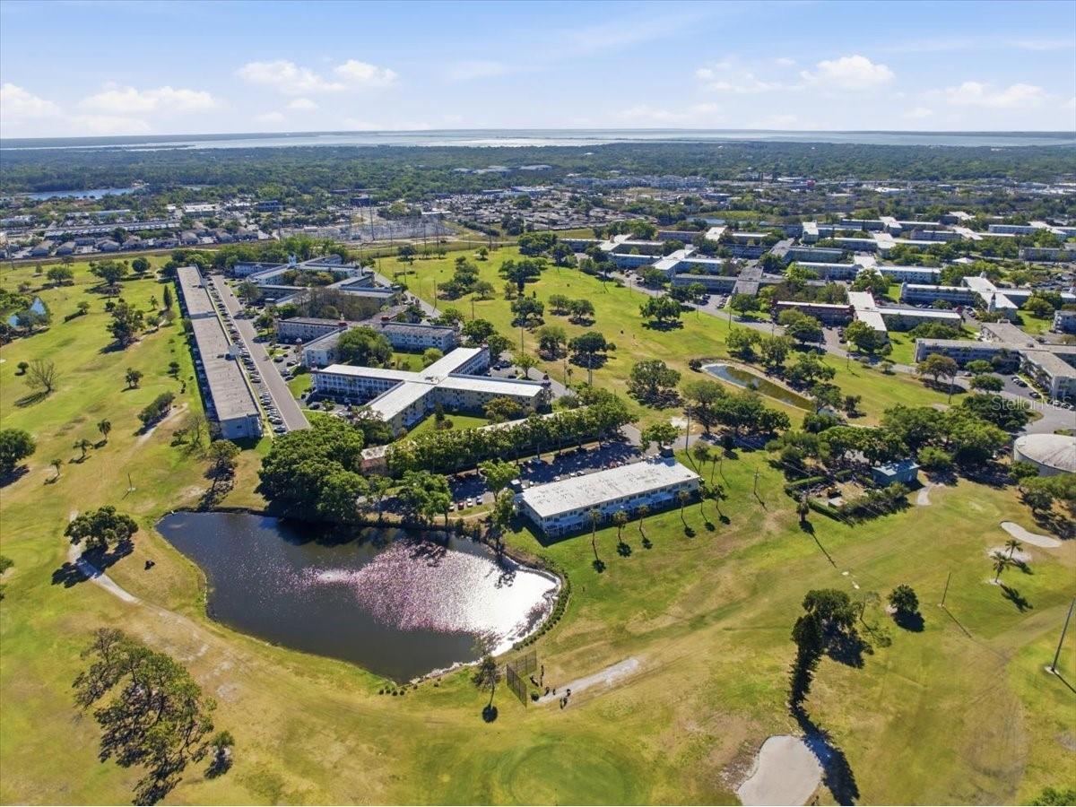 2400 Franciscan Drive #38 Clearwater FL 33763 TB8489085 image33