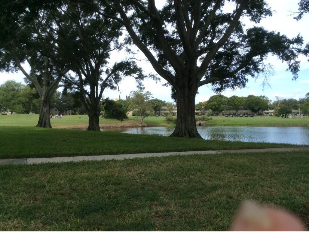 2400 Franciscan Drive #42 Clearwater FL 33763 U8189781 image1