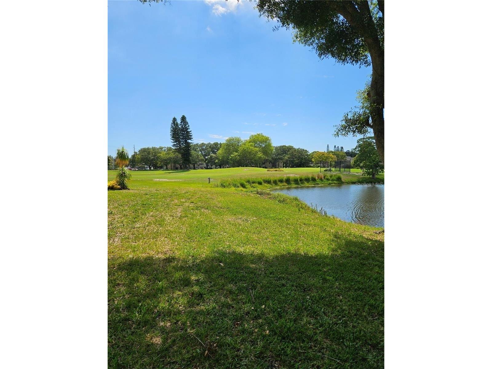 2400 Franciscan Drive #44 Clearwater FL 33763 TB8497200 image1